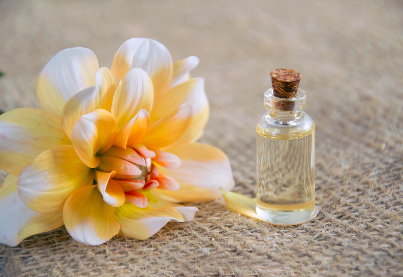 Flower and Essential Oil